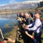 Gjirokastër, 4 çifte patash nisin një jetë të re në Liqenin e Viroit (FOTO)