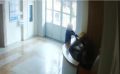 Çmenduri në Gjirokastër, hajduti me pistoletë lodër tenton të vjedhë recepsionisten e spitalit: Lekët se të vrava (VIDEO)